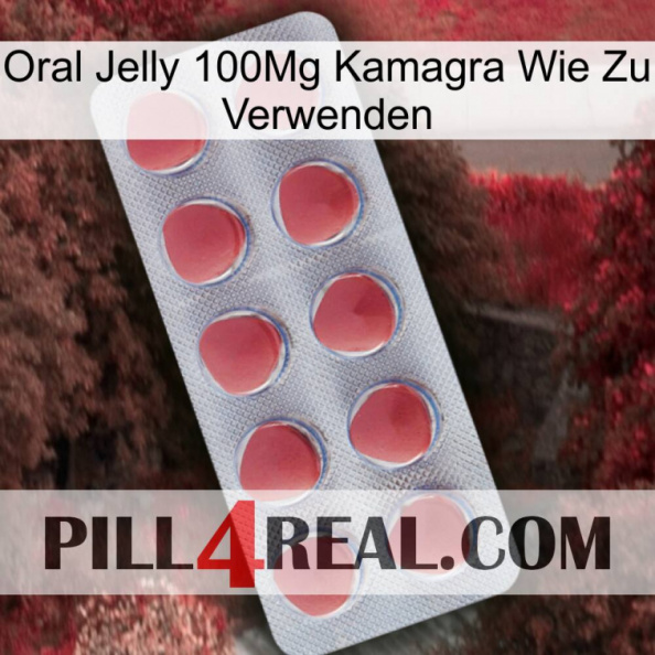Oral Jelly 100Mg Kamagra How To Use 18